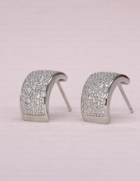 stainless steal silver polish with diamond anti tarnish anti allergic fancy earring for girls