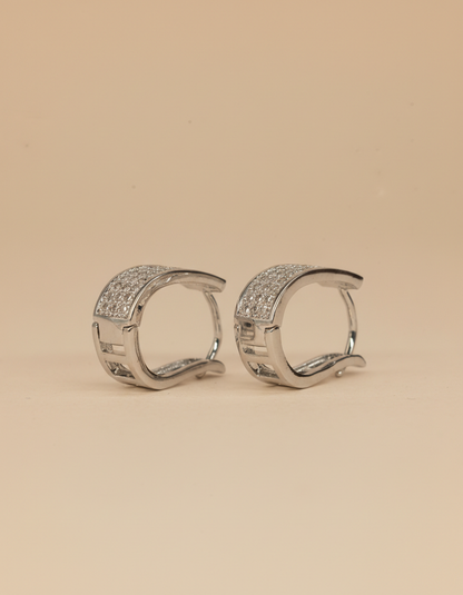 stainless steal silver polish with diamond anti tarnish anti allergic fancy earring for girls