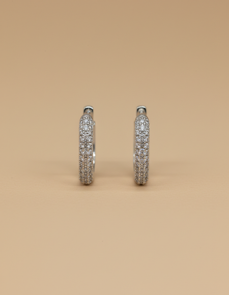 stainless steal silver polish with diamond anti tarnish anti allergic fancy earring for girls